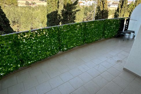 WhatsApp Image 2025-11-19 at 11.53.02 AM